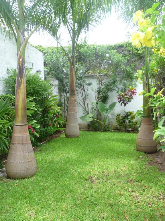 Hostal Haina Cancún Exteriér fotografie