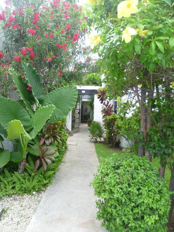 Hostal Haina Cancún Exteriér fotografie