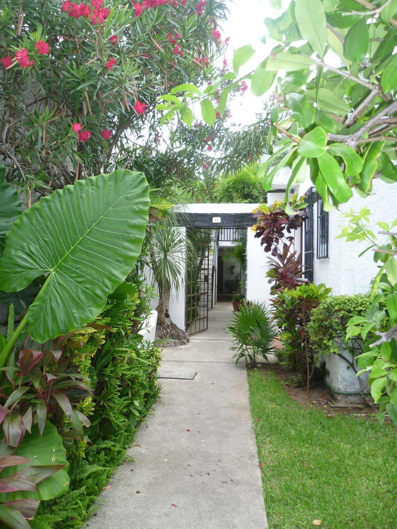Hostal Haina Cancún Exteriér fotografie