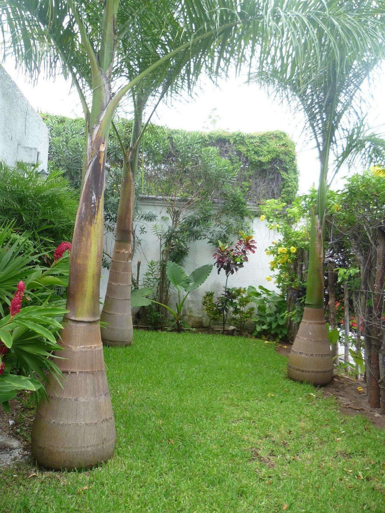 Hostal Haina Cancún Exteriér fotografie